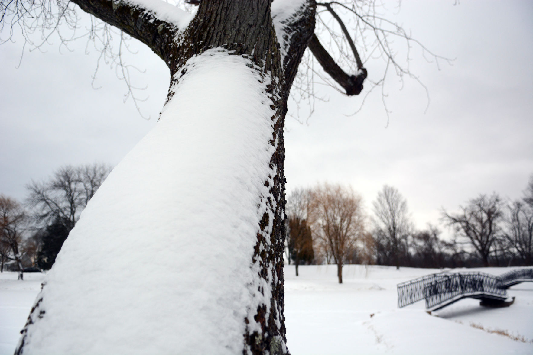 Snowstorm aftermath Dec. 30 in Baraboo, Portage